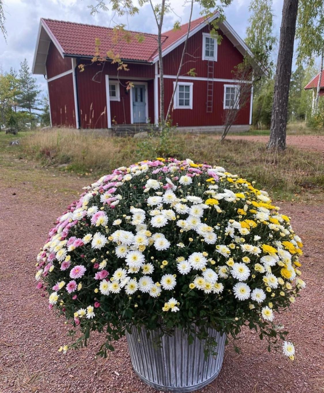 Norroe Holiday Village Bamböle Exterior foto
